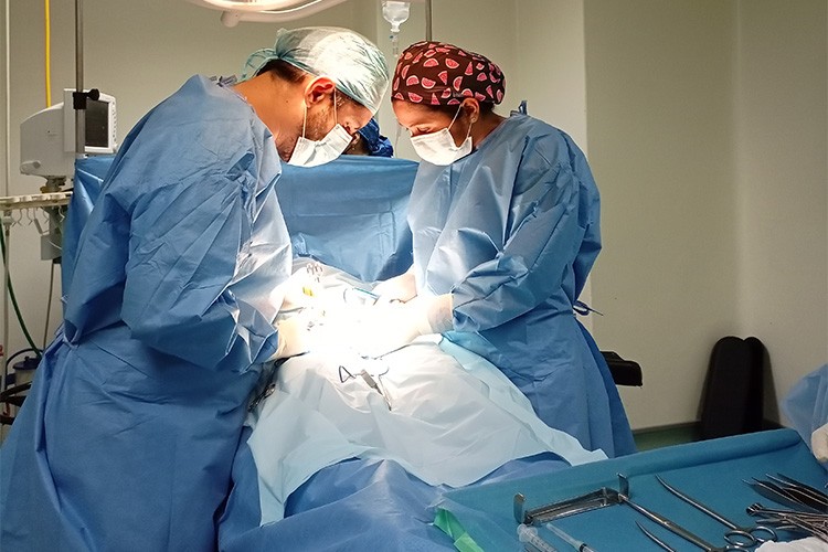 Hospitalizacion imagen
