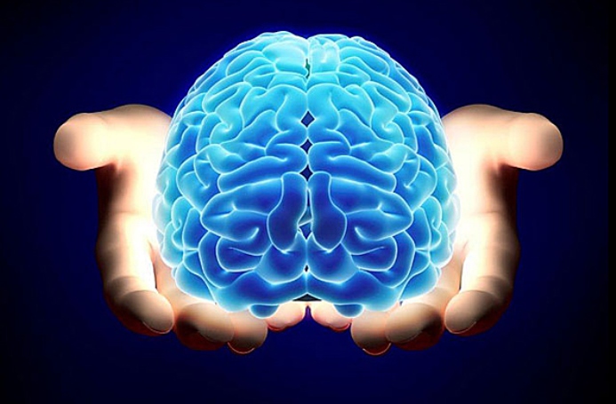 En este momento estás viendo 9 hábitos para tener un cerebro sano, según los neurólogos