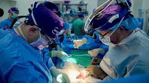 Lee más sobre el artículo Investigadores reportan el caso más largo de un trasplante exitoso de un riñón de cerdo a un humano